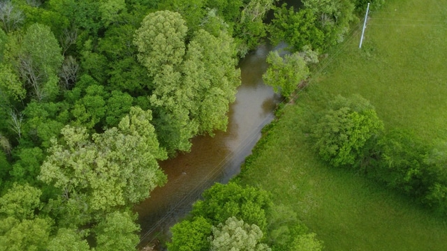 9073 Sherwood Rd, Sherwood, TN 37376 - aerial view