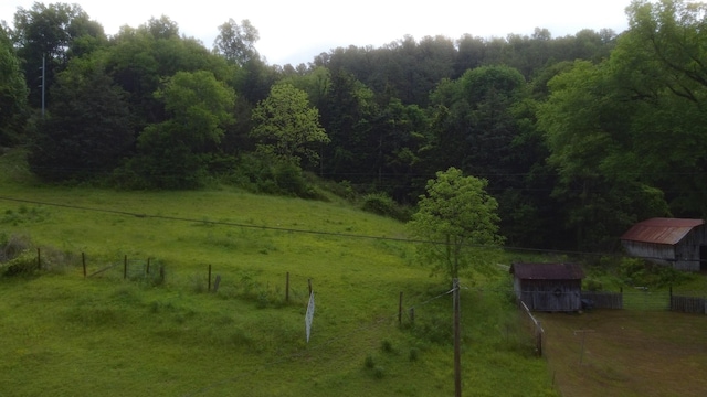 9073 Sherwood Rd, Sherwood, TN 37376 - view of yard with an outdoor structure, a view of trees, fence, and a storage shed