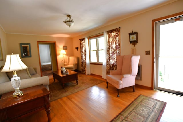 9073 Sherwood Rd, Sherwood, TN 37376 - living room featuring wood finished floors, baseboards, and ornamental molding