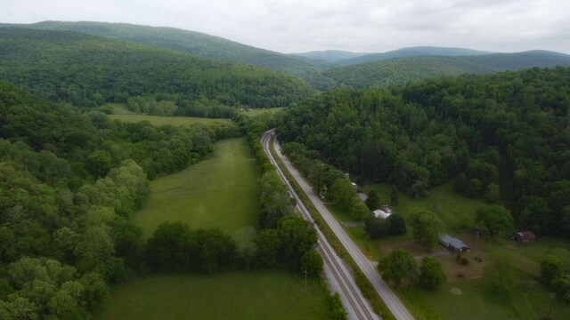 9073 Sherwood Rd, Sherwood, TN 37376 - view of property location featuring a heavily wooded area and a mountainous background