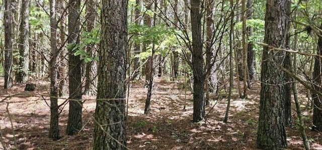 0 Sunset Rd, Spencer, TN 38585