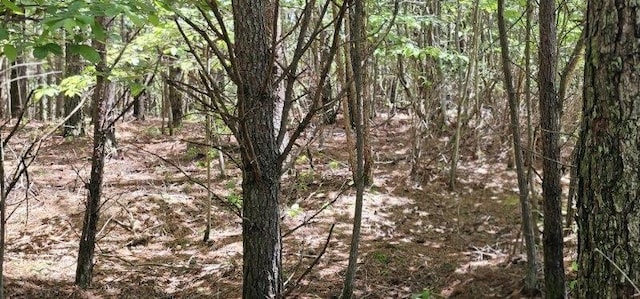 0 Sunset Rd, Spencer, TN 38585