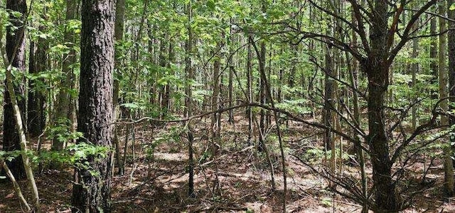 0 Sunset Rd, Spencer, TN 38585