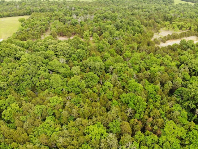 0 Morgan Rd, Rockvale, TN 37153