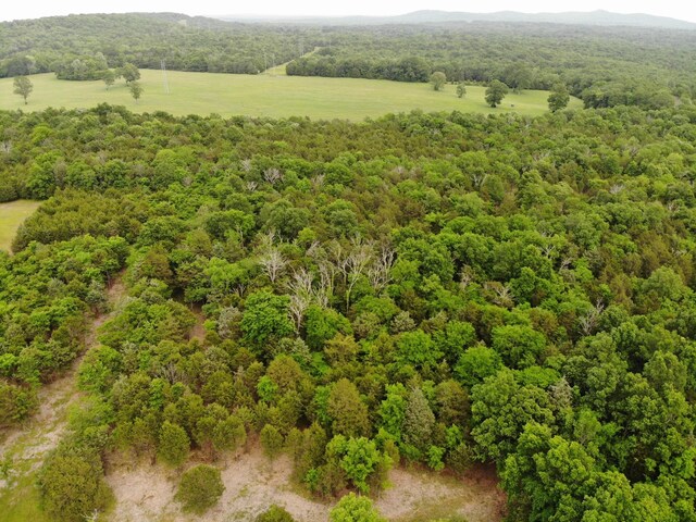 0 Morgan Rd, Rockvale, TN 37153