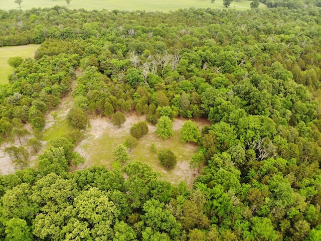 0 Morgan Rd, Rockvale, TN 37153