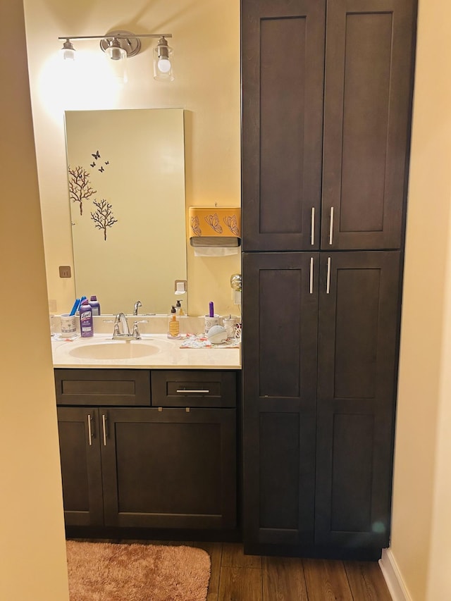 967 Horse Mountain Rd # 2-D, Shelbyville, TN 37160 - bathroom with vanity, wood finished floors, and baseboards