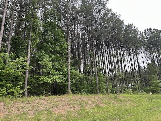 1771 Crockett Pt, Jasper, TN 37347 - photo 2