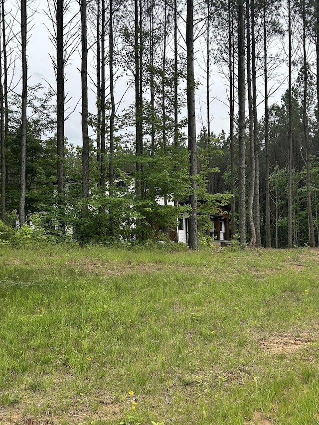 1771 Crockett Pt, Jasper, TN 37347 - photo 8
