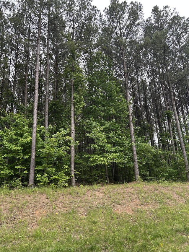 1771 Crockett Pt, Jasper, TN 37347 - photo 4