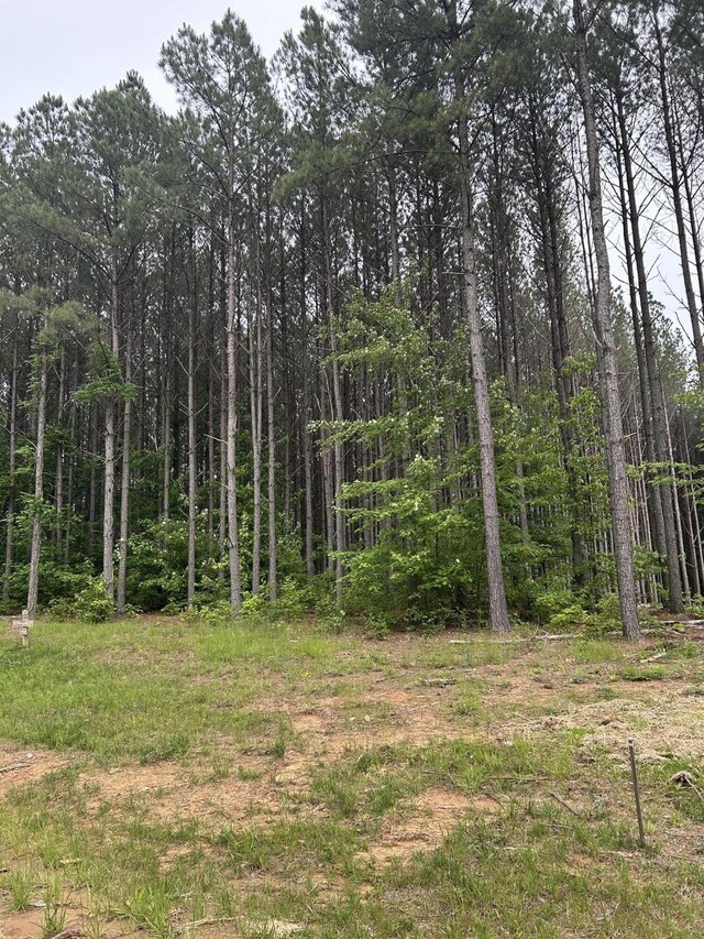 1771 Crockett Pt, Jasper, TN 37347 - photo 5