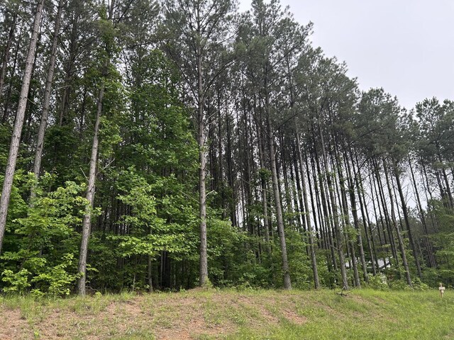 1771 Crockett Pt, Jasper, TN 37347 - photo 3