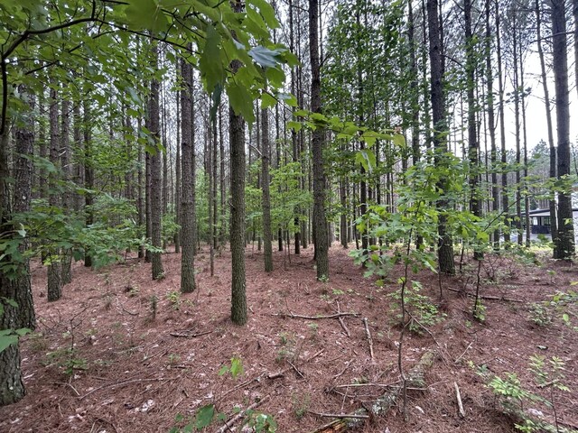 1771 Crockett Pt, Jasper, TN 37347 - photo 12