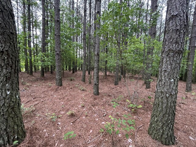 1771 Crockett Pt, Jasper, TN 37347 - photo 13