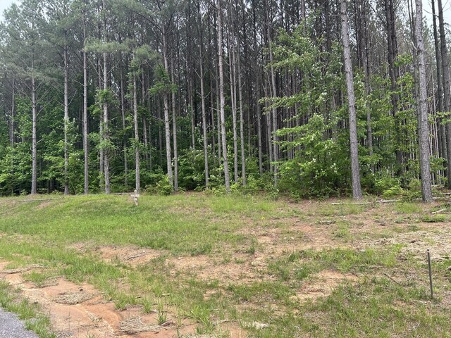 1771 Crockett Pt, Jasper, TN 37347 - photo 6