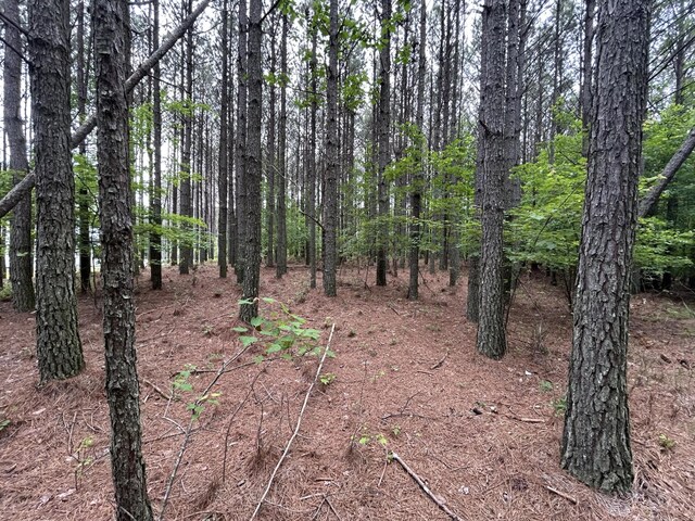 1771 Crockett Pt, Jasper, TN 37347 - photo 15