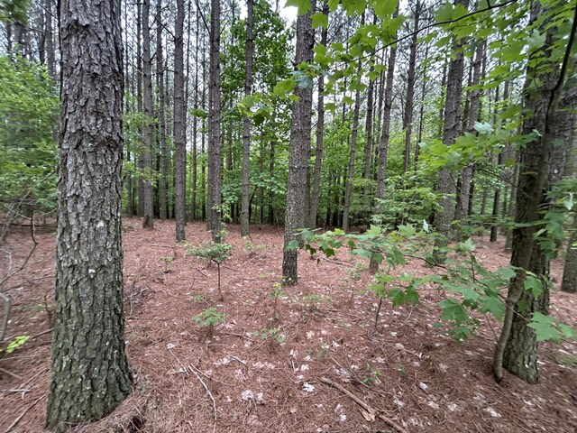 1771 Crockett Pt, Jasper, TN 37347 - photo 11