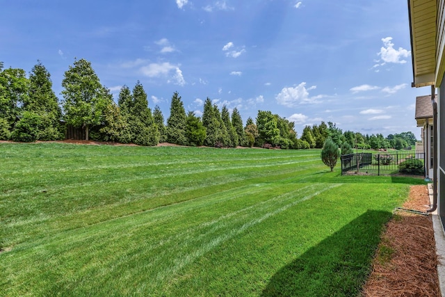 1753 Humphreys Gln, Spring Hill, TN 37174 - view of yard