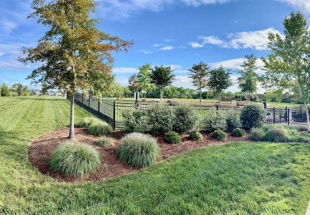 1753 Humphreys Gln, Spring Hill, TN 37174 - view of yard
