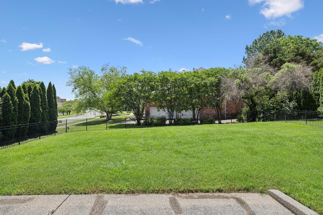 4101 Owen Watkins Ct, Franklin, TN 37067 - view of yard
