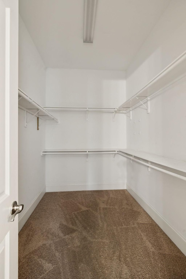 4101 Owen Watkins Ct, Franklin, TN 37067 - walk in closet with carpet flooring