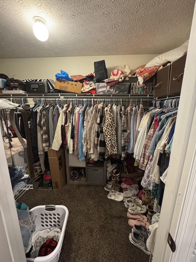 162 Pigeon Roost Rd, Brush Creek, TN 38547 - spacious closet with carpet flooring