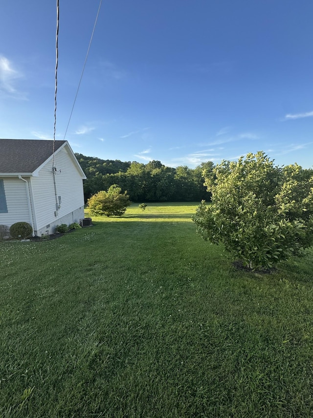 162 Pigeon Roost Rd, Brush Creek, TN 38547 - view of green lawn
