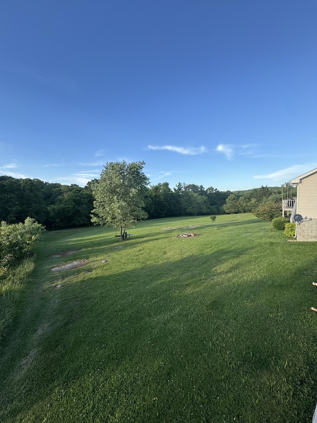 162 Pigeon Roost Rd, Brush Creek, TN 38547 - view of grassy yard