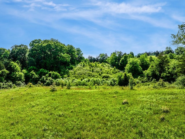 1098 Cummings Chapel Rd, Sevierville, TN 37876