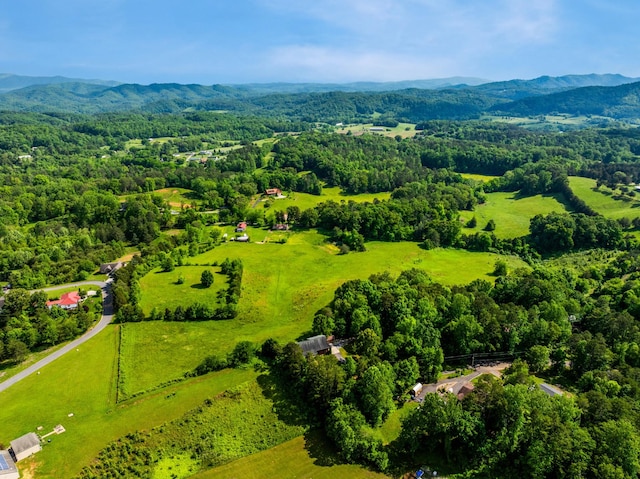 1098 Cummings Chapel Rd, Sevierville, TN 37876