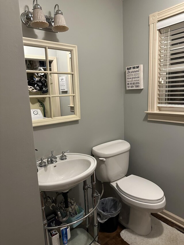434 Hickman Shores Rd, Dover, TN 37058 - bathroom featuring toilet, wood finished floors, and a sink