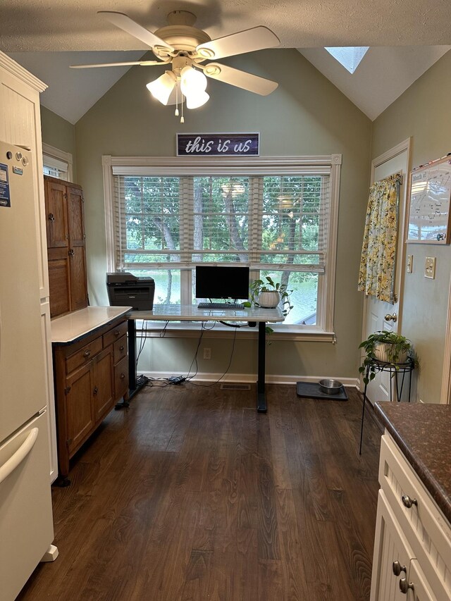 434 Hickman Shores Rd, Dover, TN 37058 - home office featuring vaulted ceiling, a skylight, ceiling fan, and dark wood-style floors