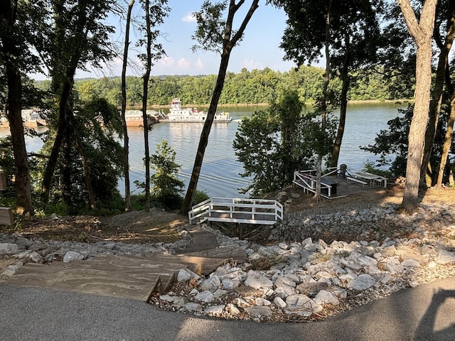 434 Hickman Shores Rd, Dover, TN 37058 - water view