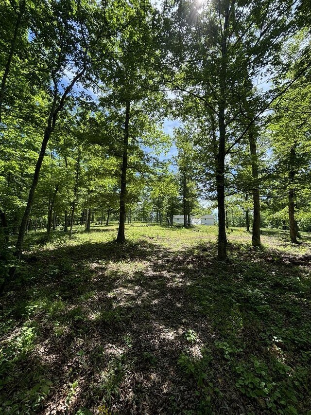 807 Hillcrest Rd, Waverly, TN 37185 - photo 29
