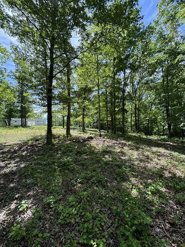 807 Hillcrest Rd, Waverly, TN 37185 - photo 27