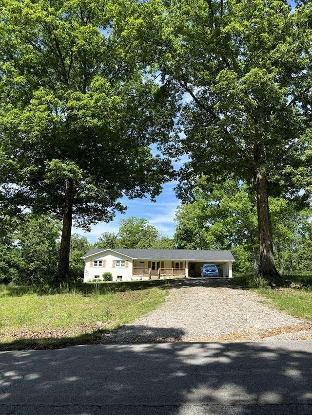 807 Hillcrest Rd, Waverly, TN 37185 - photo 25