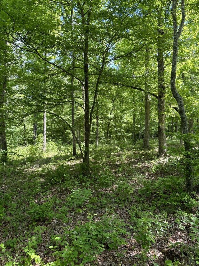 807 Hillcrest Rd, Waverly, TN 37185 - photo 24