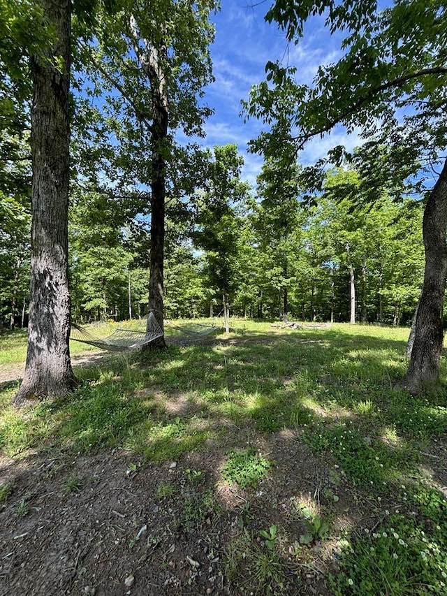 807 Hillcrest Rd, Waverly, TN 37185 - photo 30