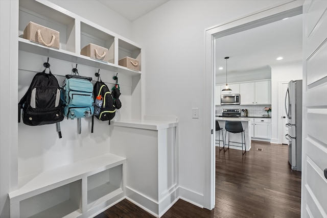 1412 Barrett Dr, Mount Juliet, TN 37122 - mudroom with dark wood-style floors, baseboards, and recessed lighting