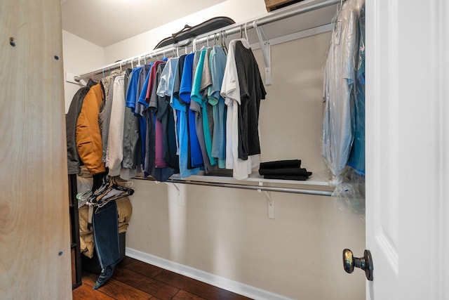 1325 Branchside Ct, Thompsons Station, TN 37179 - spacious closet with hardwood / wood-style flooring