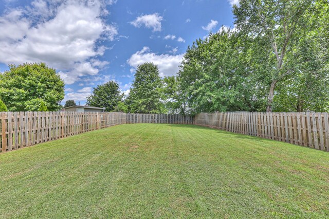 1753 Stone Hollow Ct, Hermitage, TN 37076 - view of yard