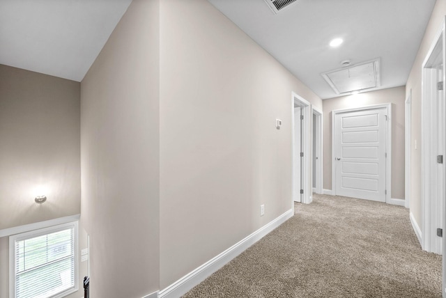 230 Cardinal Crk, Clarksville, TN 37040 - hallway with carpet, attic access, and baseboards