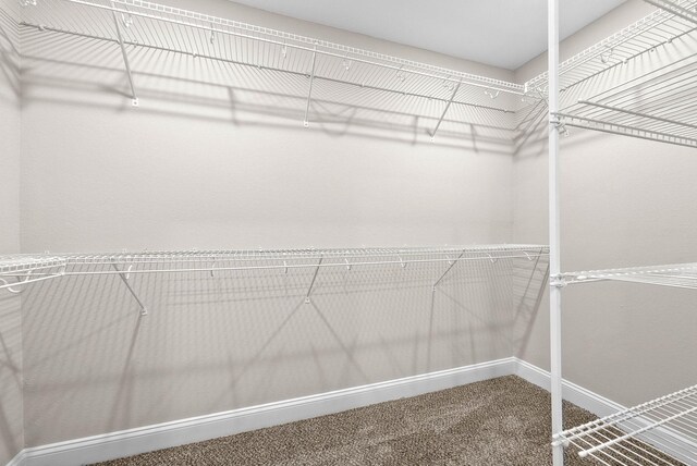 230 Cardinal Crk, Clarksville, TN 37040 - walk in closet with carpet