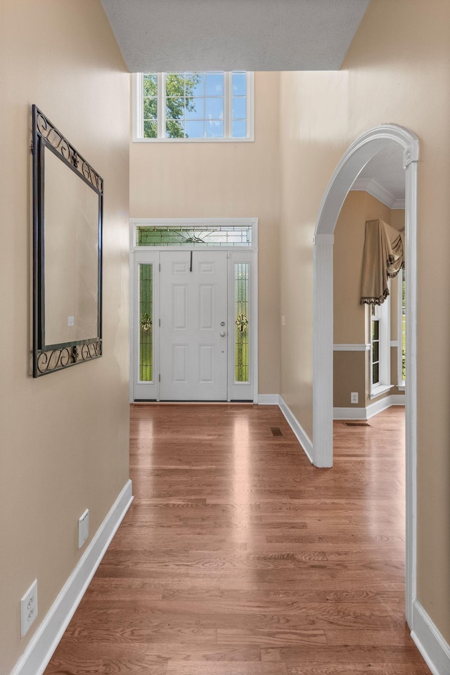 134 Blackberry Ln, Murfreesboro, TN 37130 - foyer with arched walkways, baseboards, wood finished floors, and a towering ceiling