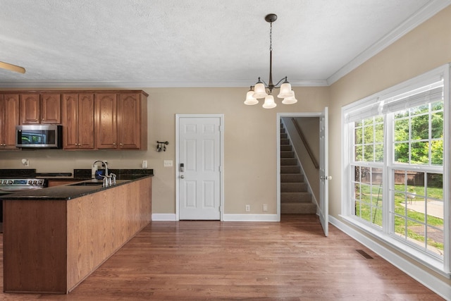134 Blackberry Ln, Murfreesboro, TN 37130 - kitchen featuring stainless steel appliances, a sink, a peninsula, wood finished floors, and healthy amount of natural light