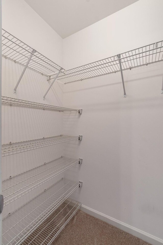 1505 Charleston Park Dr, Spring Hill, TN 37174 - spacious closet with carpet floors