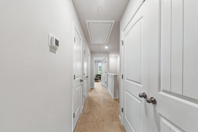 105 Grayson Cir, Chapel Hill, TN 37034 - hall featuring attic access, light carpet, and baseboards