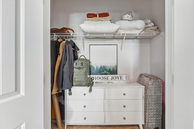 105 Grayson Cir, Chapel Hill, TN 37034 - view of closet