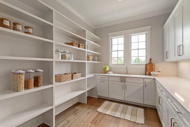 4617 Delta Springs Ln, Franklin, TN 37064 - storage area featuring a sink