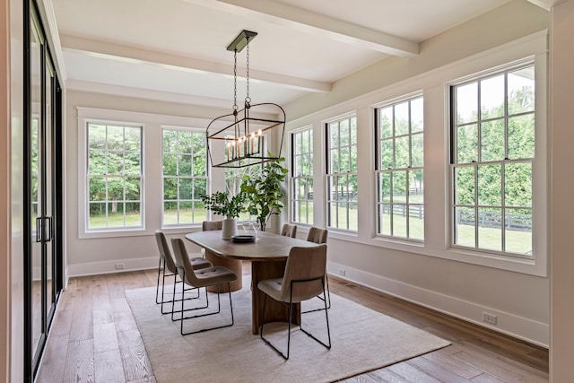 4617 Delta Springs Ln, Franklin, TN 37064 - dining area with hardwood / wood-style floors, beamed ceiling, baseboards, and a chandelier